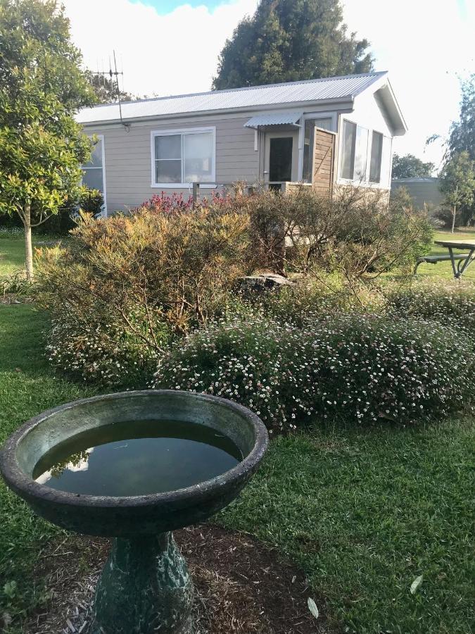 Orange Blossom- Comboyne Mountain Cottages Extérieur photo